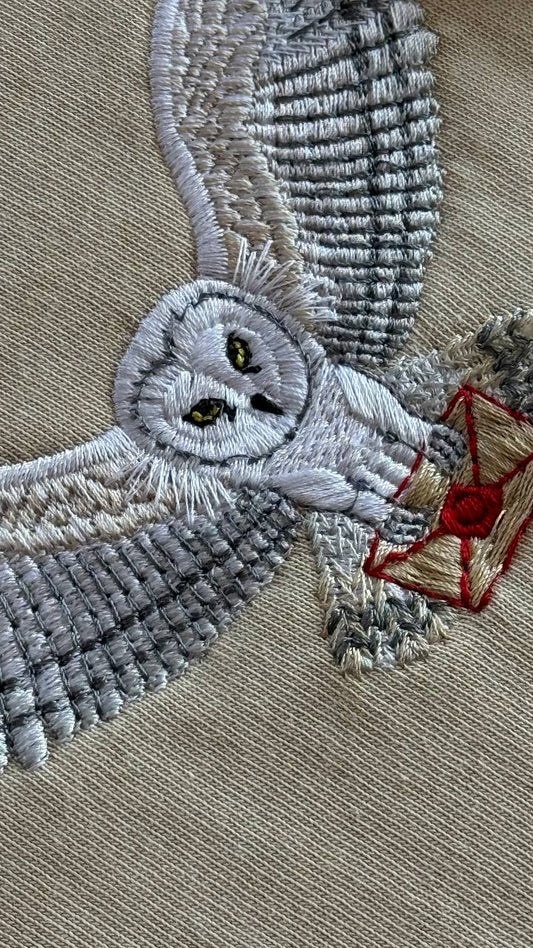 baykuş tişört